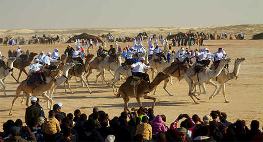 Festival in Douz