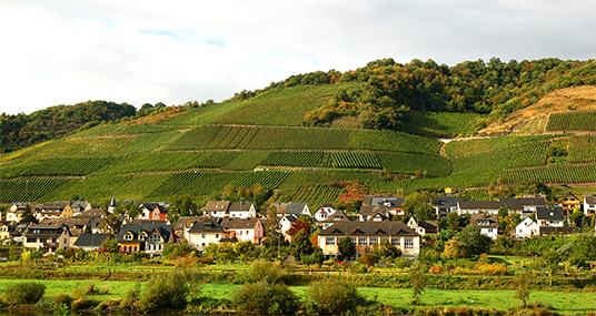 Weinberge im Mittelrhein