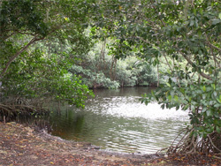 Everglades-Nationalpark - Fotograf: Wikipedia-User: Moni3 - Lizenz: Public Domain